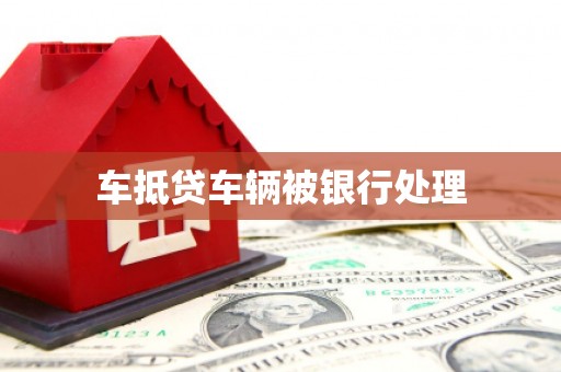 罗山车抵贷车辆被银行处理